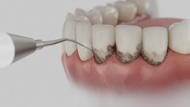 Reliable Dental contractor in Kokomo, IN by Dentist Open Now